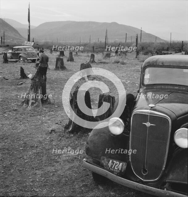 Possibly: Fenced pasture on cut-over farm, Priest River Valley, Bonner County, Idaho, 1939. Creator: Dorothea Lange.