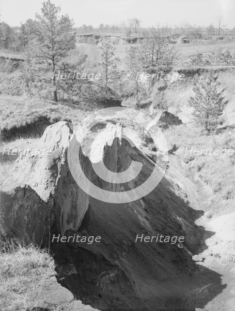 Erosion near Oxford, Mississippi, 1936. Creator: Walker Evans.