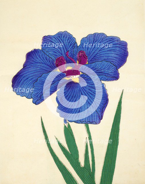 Gosetsu-No-Mai, No. 9, 1890, (colour woodblock print)