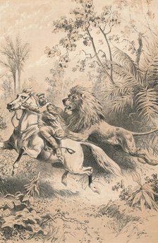'African Traveller Attacked by A Lion', c1880. Artist: Unknown.