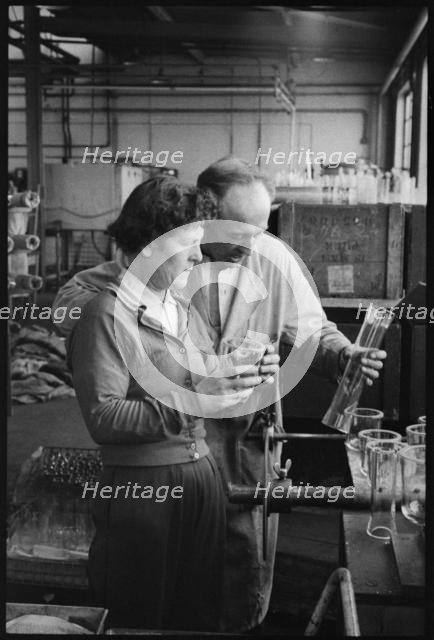 Workers at the Wear Flint Glass Works, Alfred Street, Millfield, Sunderland, 1961. Creator: Eileen Deste.