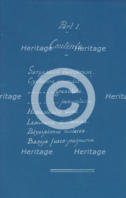 Part I Contents, ca. 1853. Creator: Anna Atkins.