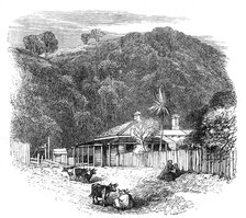 Views at the Seat of the War in New Zealand: settler's house at Waikato, 1864. Creator: Unknown.