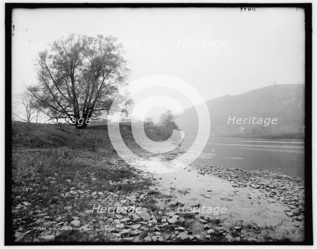 Chemung River near Elmira, N.Y., c1900. Creator: Unknown.