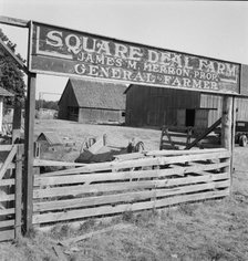 Note on changing rurual life, on U.S. 99, Williamette Valley, Benton County, Oregon, 1939. Creator: Dorothea Lange.