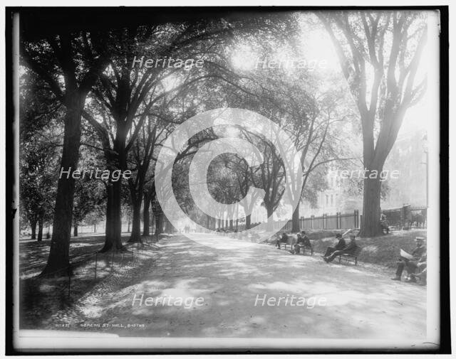 Beacon St. mall, Boston, c1899. Creator: Unknown.