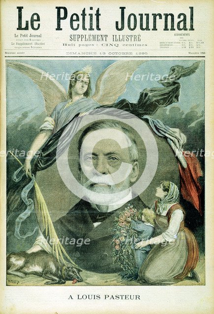 Louis Pasteur, French chemist, 1895. Artist: Unknown