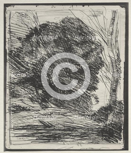 Trees on the Mountain, original impression 1856, printed in 1921. Creator: Jean Baptiste Camille Corot (French, 1796-1875).