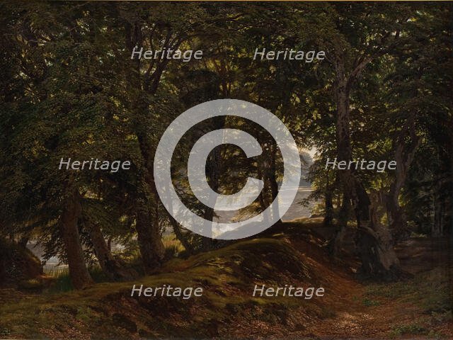 A shady spot at Hestehave near Frederiksborg, 1860. Creator: Godtfred Rump.