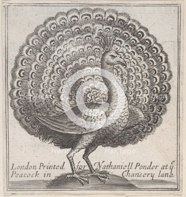 Trade card for Nathaniell Ponder, Bookseller, 18th century., Creator: Anon.