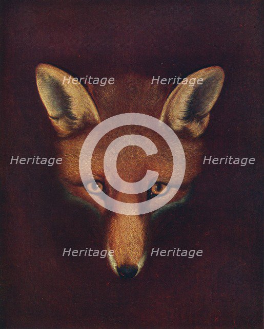 'Renard the Fox', c1800, (1922). Artist: Philip Reinagle.