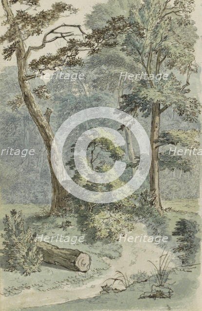 Forest path in a landscape, 1783.  Creator: Johannes Huibert Prins.