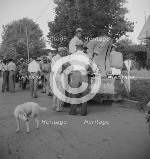 Negro cotton hoers, Greenville, Mississippi, 1937. Creator: Dorothea Lange.