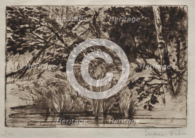 The Mouth of a Brook (Second Plate). Creator: Francis Seymour Haden (British, 1818-1910).
