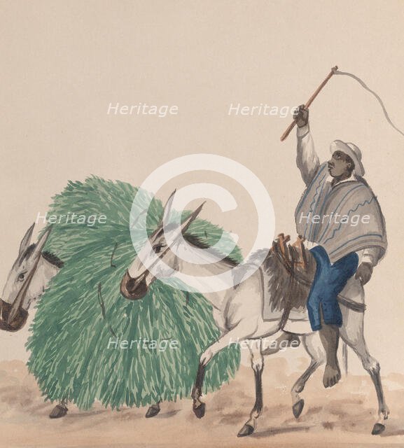 A man riding a mule, his whip raised, another mule loaded with grass alongside..., ca. 1848. Creator: Attributed to Francisco (Pancho) Fierro.