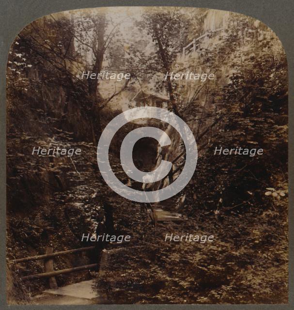 'Shanklin Chine of World-wide fame, Isle of Wight, England', c1910. Creator: Unknown.