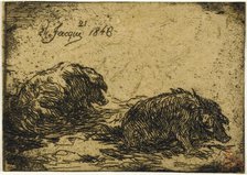 Two Pigs Lying Down, 1846. Creator: Charles Emile Jacque.