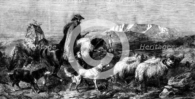 "Tired Sheep - Glen Spean, Scotland", by R. Ansdell, from the exhibition of the Royal Academy, 1862. Creator: W Thomas.