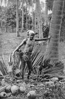 Malay collecting the sweet wine of the toddy tree, 1922. Artist: Unknown