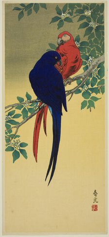 Blue and Red Macaws, n.d. Creator: Shunko.