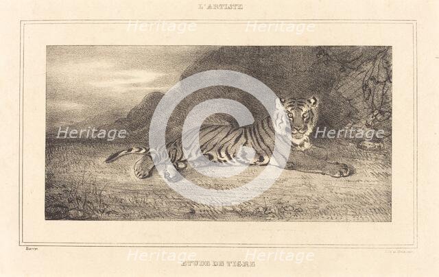 Study of a Tiger. Creator: Antoine-Louis Barye.