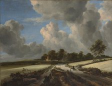 Wheat Fields, ca. 1670. Creator: Jacob van Ruisdael.