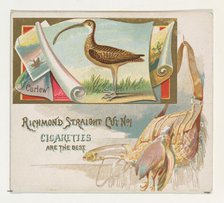Curlew, from the Game Birds series (N40) for Allen & Ginter Cigarettes, 1888-90. Creator: Allen & Ginter.