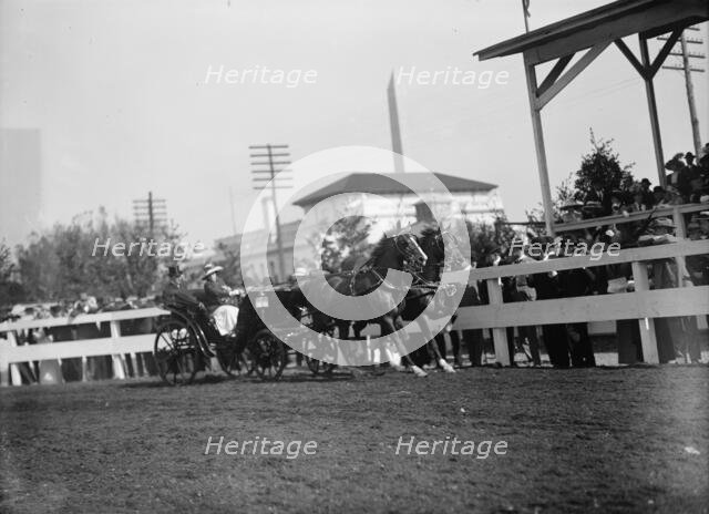 Horse Shows - Team, 1912. Creator: Harris & Ewing.