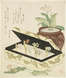 Primroses, Japan, c. 1810s. Creator: Kubo Shunman.