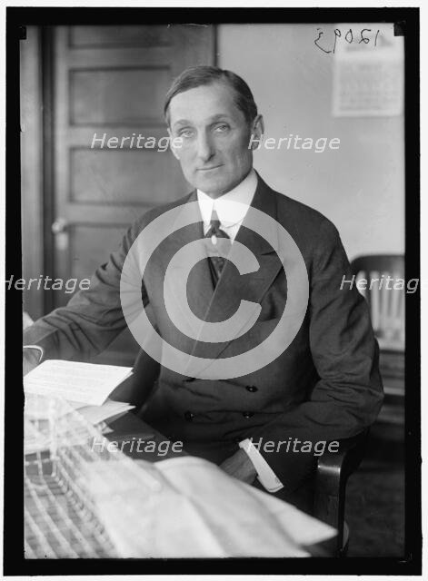 William Gibbs Mcadoo, between 1913 and 1918. Creator: Harris & Ewing.