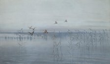 Ducks over Swamps, 1892. Creator: Stanislaw Maslowski.