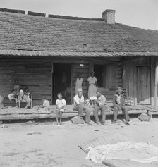 Tobacco farms, like Southern cotton farms, carry a heavy surplus..., near Tifton, Georgia, 1938. Creator: Dorothea Lange.