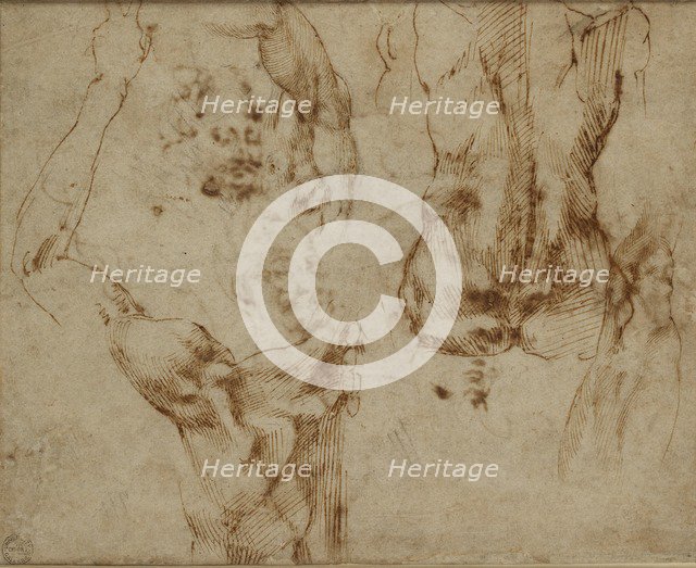 Nude Studies, c1490-1560. Artist: Michelangelo Buonarroti.