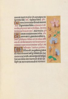 Hours of Queen Isabella the Catholic, Queen of Spain: Fol. 162r, c. 1500. Creator: Master of the First Prayerbook of Maximillian (Flemish, c. 1444-1519); Associates, and.