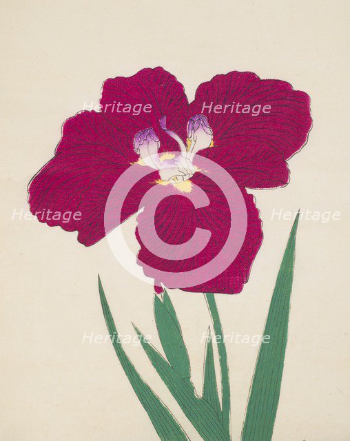 Tai-Hei-Raku, No. 18, 1890, (colour woodblock print)