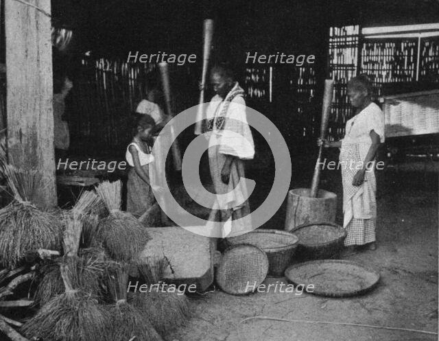 ''La preparation du riz aux Philippines; Les Terres Du Pacifique', 1914. Creator: Unknown.