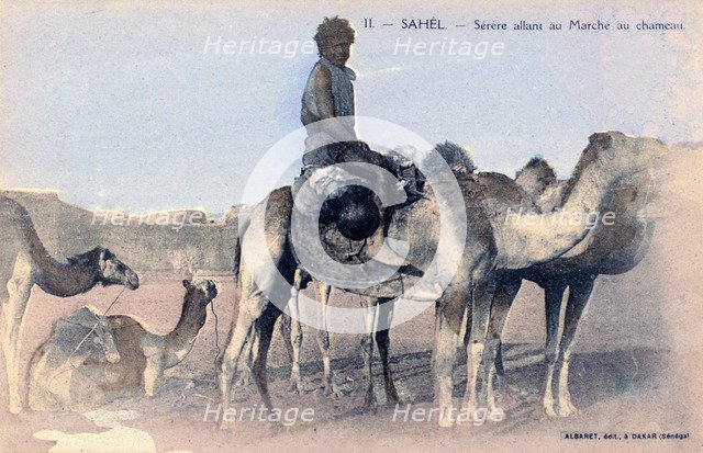 Serere, the Sahel, Senegal, 20th century. Artist: Albaret