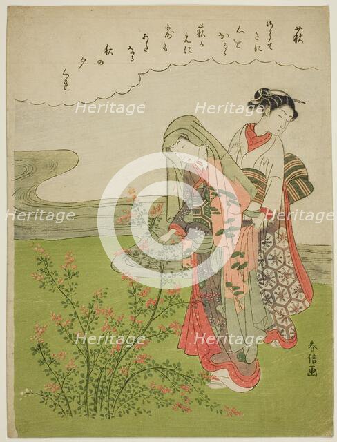 Bush Clover (Hagi), from an untitled series of Flowers, c. 1769. Creator: Suzuki Harunobu.