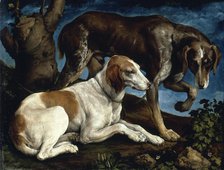 Two hunting dogs, 1548-1549. Creator: Bassano, Jacopo, il vecchio (ca. 1510-1592).