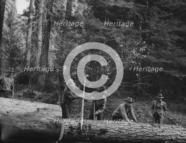 Members of Ola self-help sawmill co-op rolling white fir log..., Gem County, Idaho, 1939. Creator: Dorothea Lange.