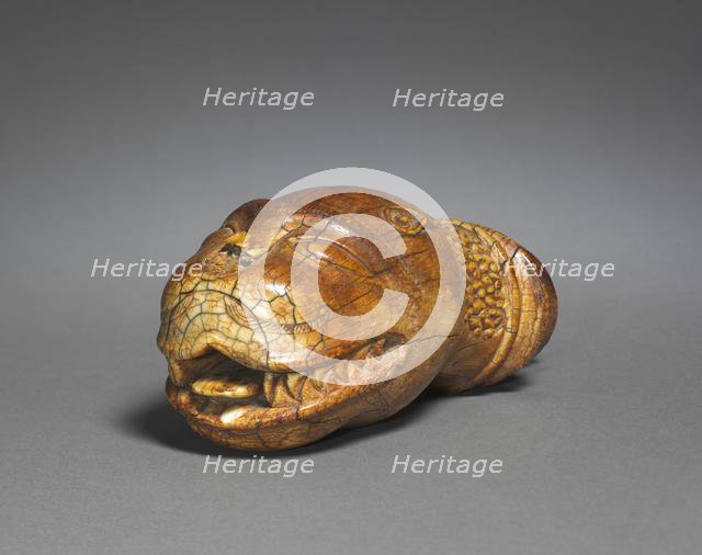 Lion's Head, 17th Century. Creator: Unknown.