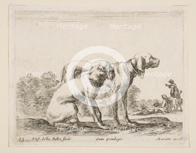 Plate 23: two hounds, from 'Various animals' (Diversi animali), ca. 1641. Creator: Stefano della Bella.