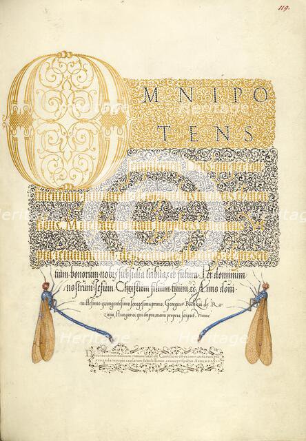 Damselflies; Mira calligraphiae monumenta, 1561-1562; illumination added 1591-1596. Creator: Joris Hoefnagel.