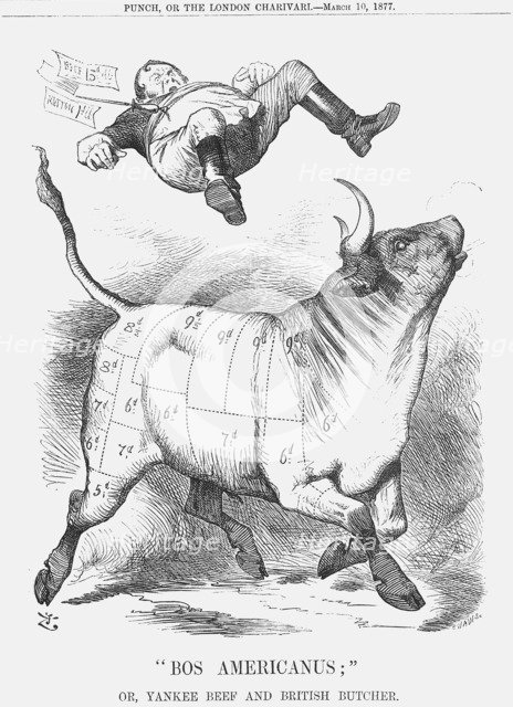 Bos Americanus, 1877. Artist: Joseph Swain