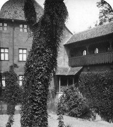 Lime tree in a courtyard, Nuremberg, Bavaria, Germany, c1900s.Artist: Wurthle & Sons