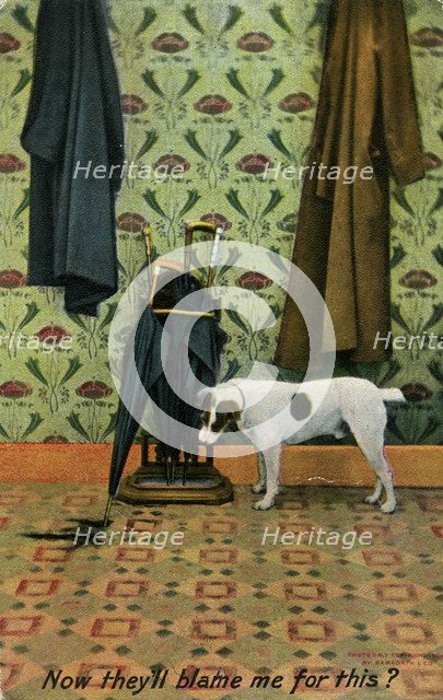 'Now they'll blame me for this?', c1910.Artist: Holmfirth Bamforth and Co