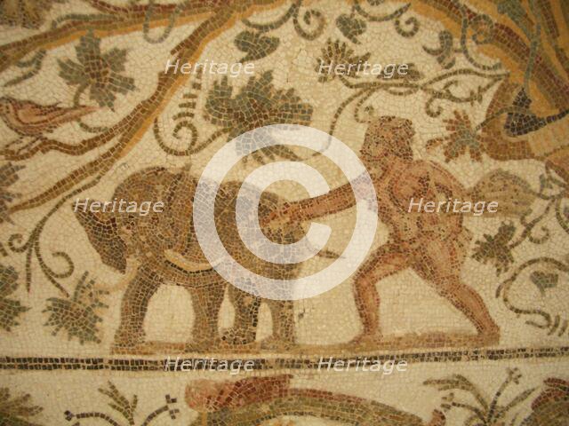 Mosaic, El Jem Museum, El Djem, Tunisia, 2009. Creator: Amanda Waite.