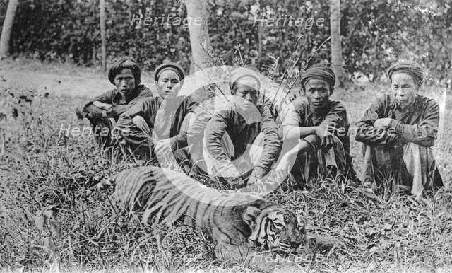 Tiger hunters, Tonkin, Vietnam, 20th century(?). Artist: Unknown