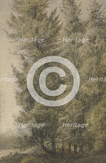 Tall pines on the edge of a forest, 1619-1690. Creator: Anthonie Waterloo.