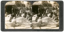 Women sorting large piles of silk cocoons, Antioch, Syria, 1900s.Artist: Underwood & Underwood